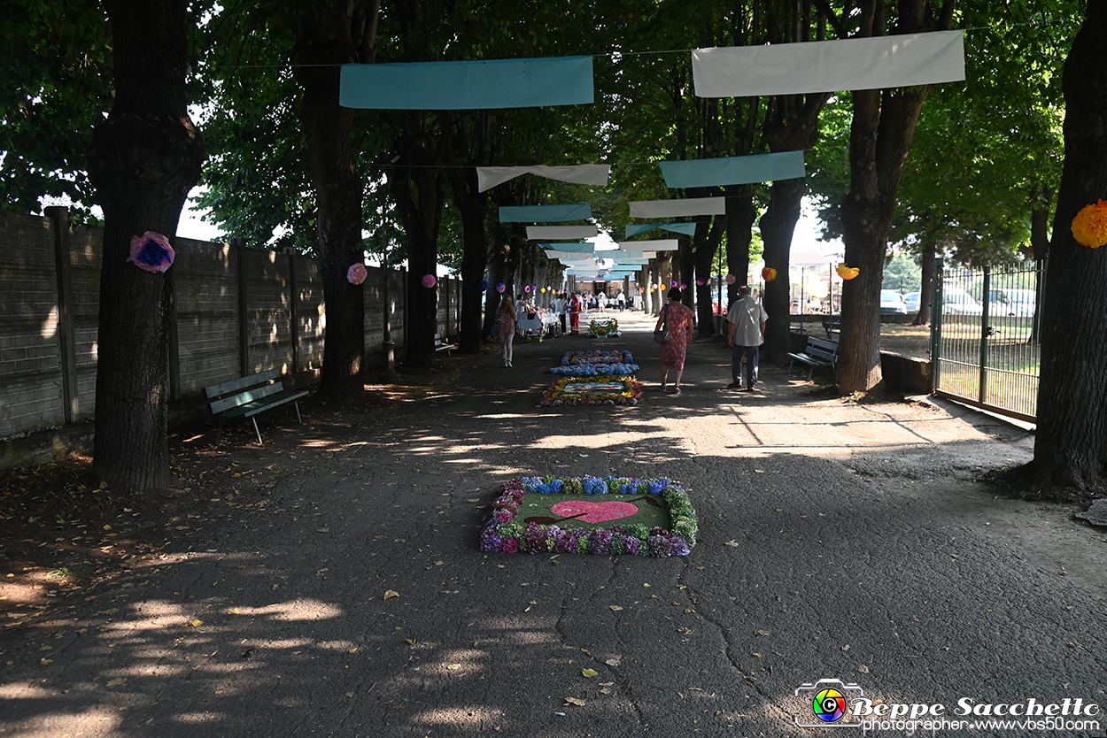 VBS_9881 - Infiorata Santuario della Madonnina di Villanova d'Asti 2024.jpg